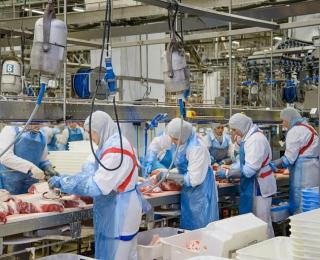 Фартуки защитные 